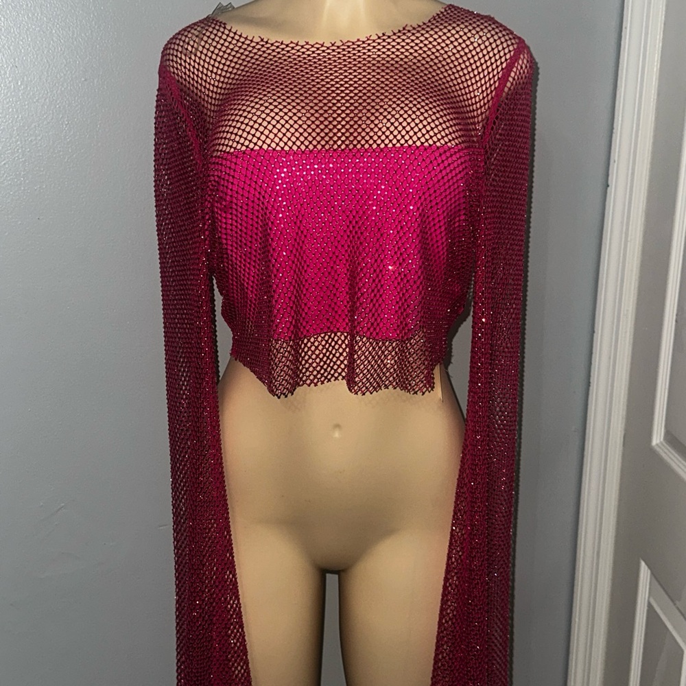 Windsor Pink Mesh Long Sleeve Crop Top